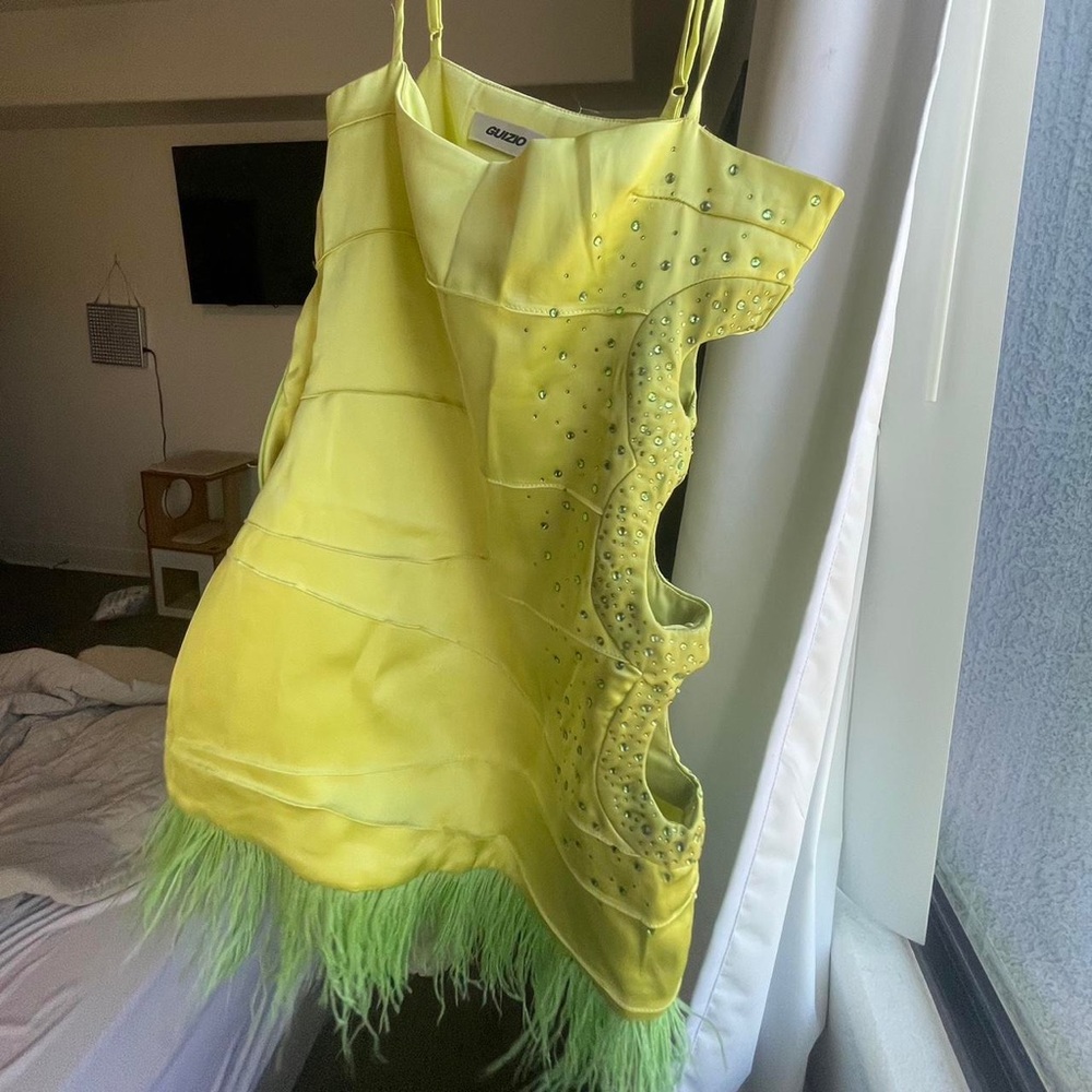 Guizio Green Feather Dress